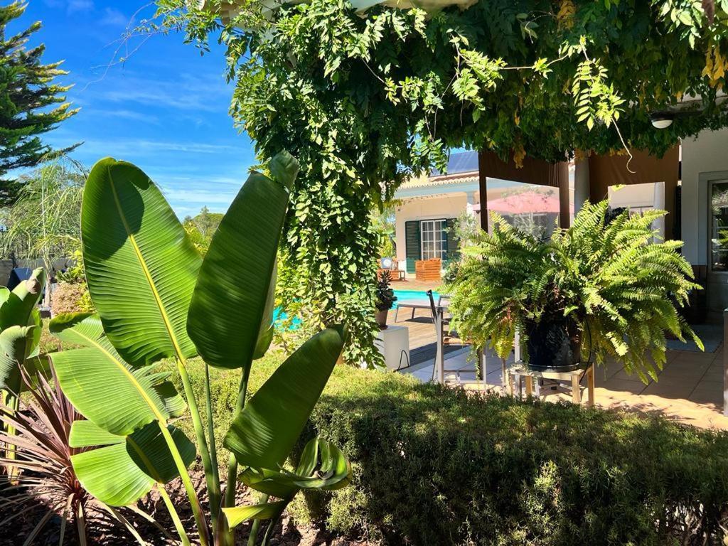 Buganvilias Do Meco Guest House Сесимбра Екстериор снимка
