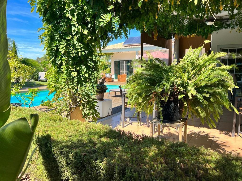 Buganvilias Do Meco Guest House Сесимбра Екстериор снимка
