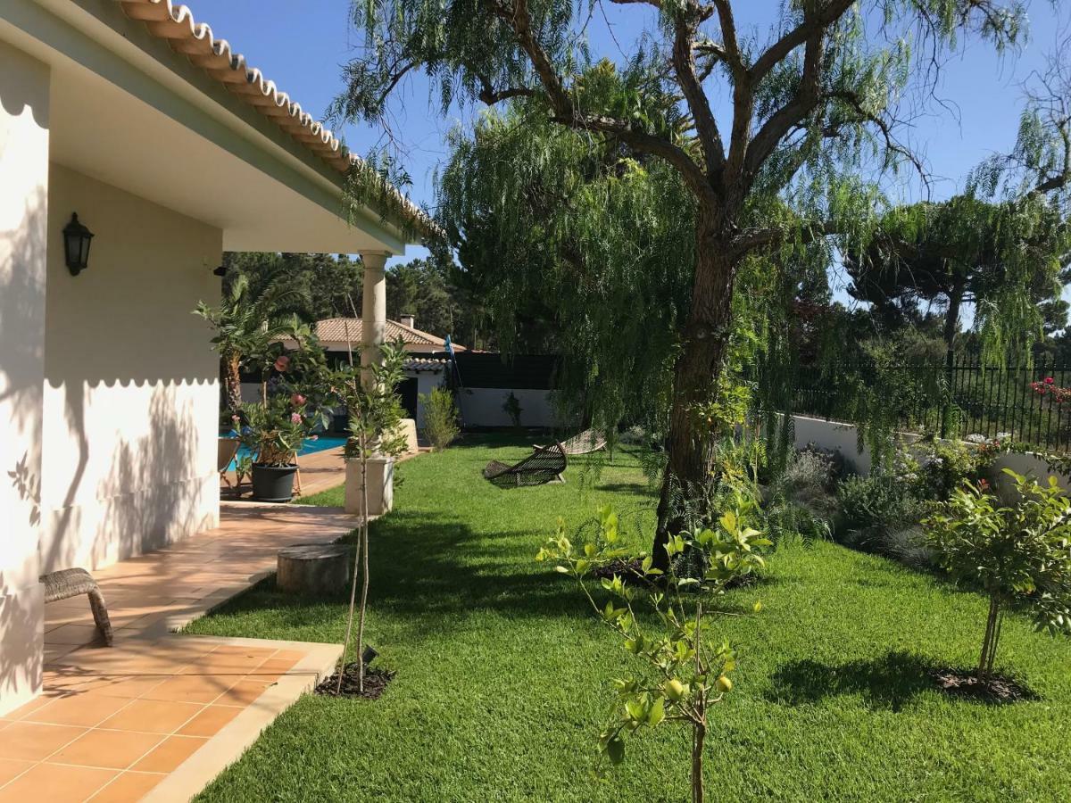 Buganvilias Do Meco Guest House Сесимбра Екстериор снимка